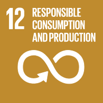 SDG 12 (Responsible Consumption and Production)