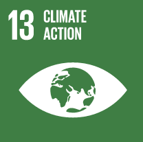 SDG 13 (Climate Action)